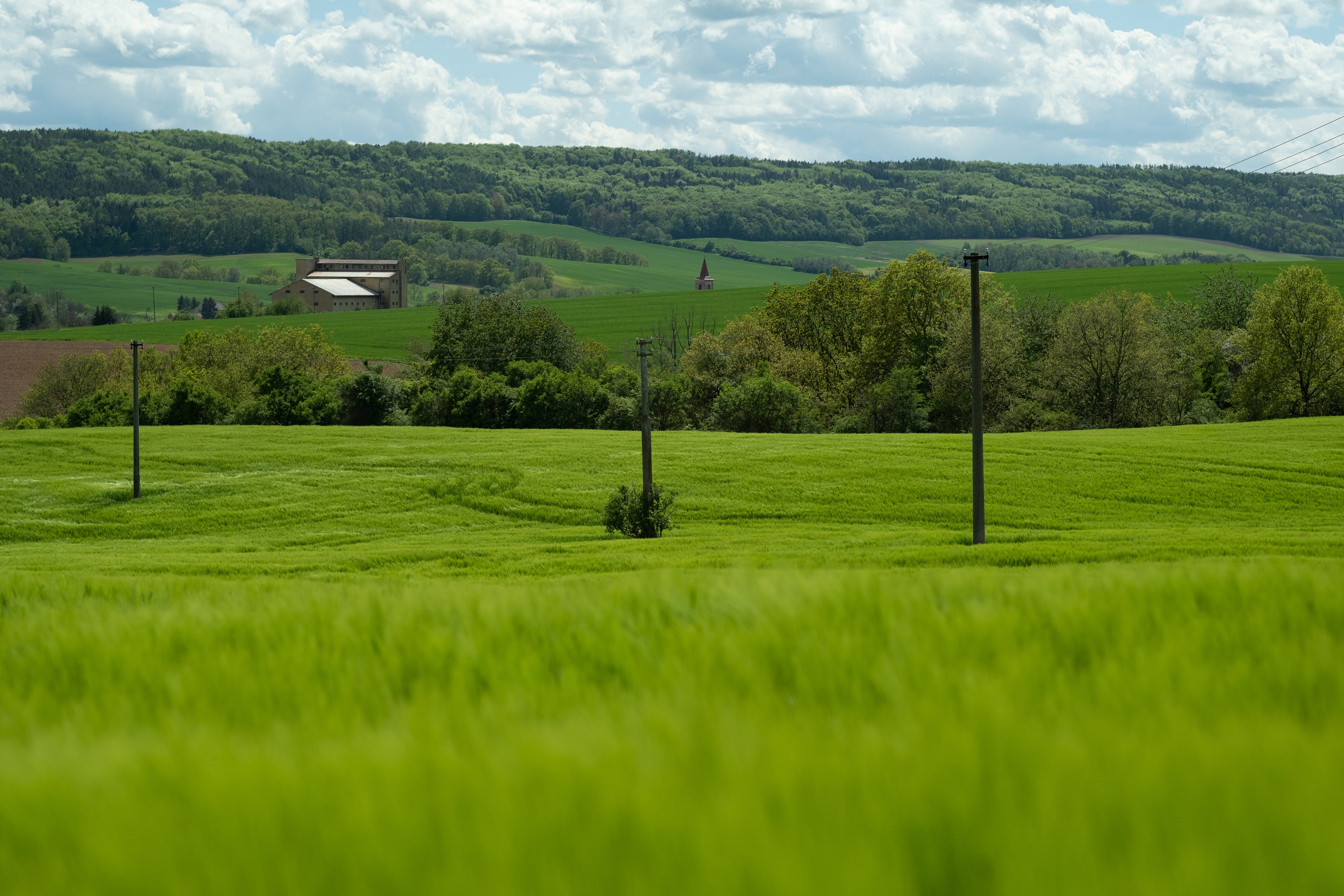 collection-banner-image